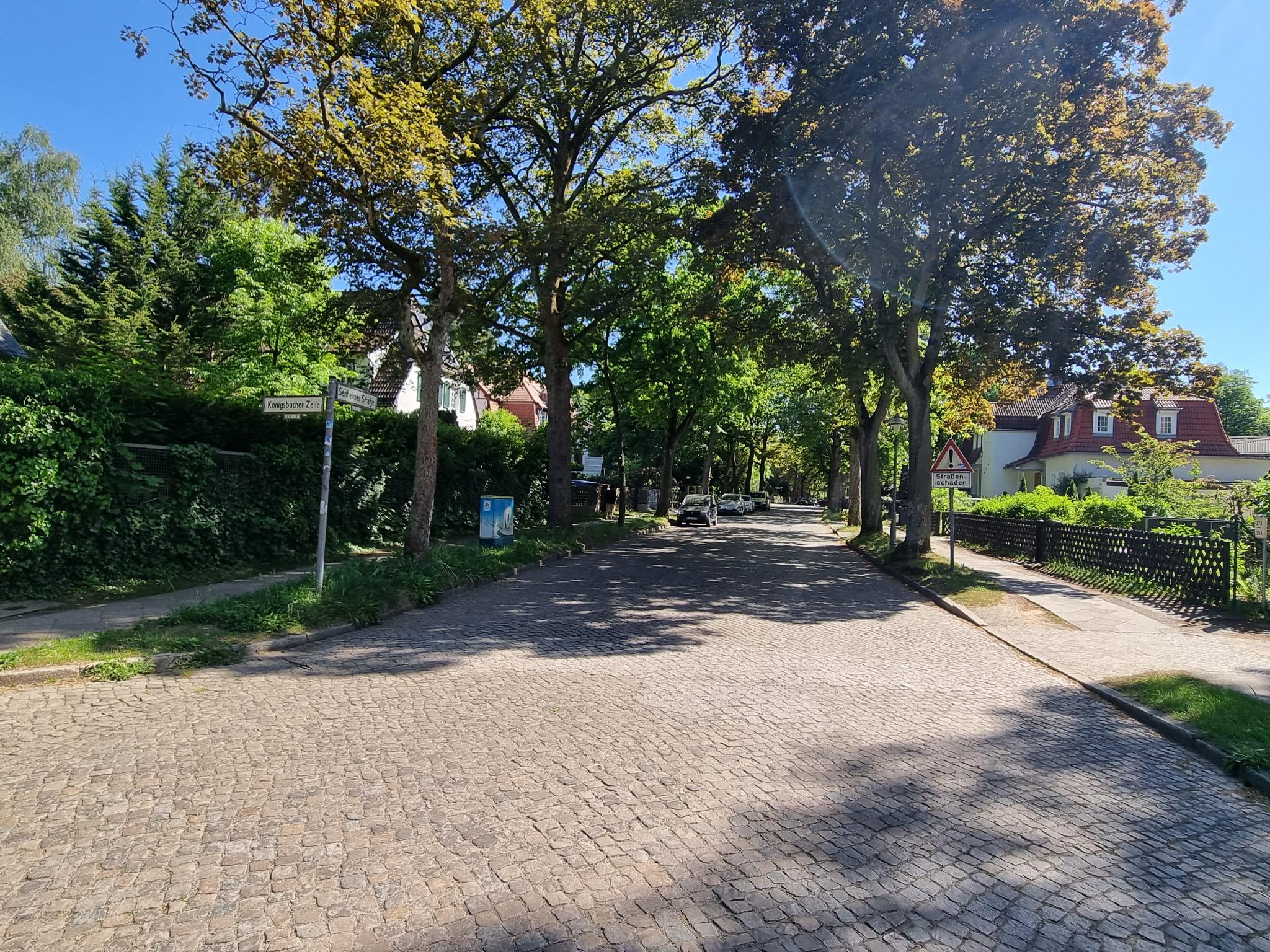 Foto der Senheimer Straße. Straßenpflaster ist gesäumt von großen und alten Bäumen.