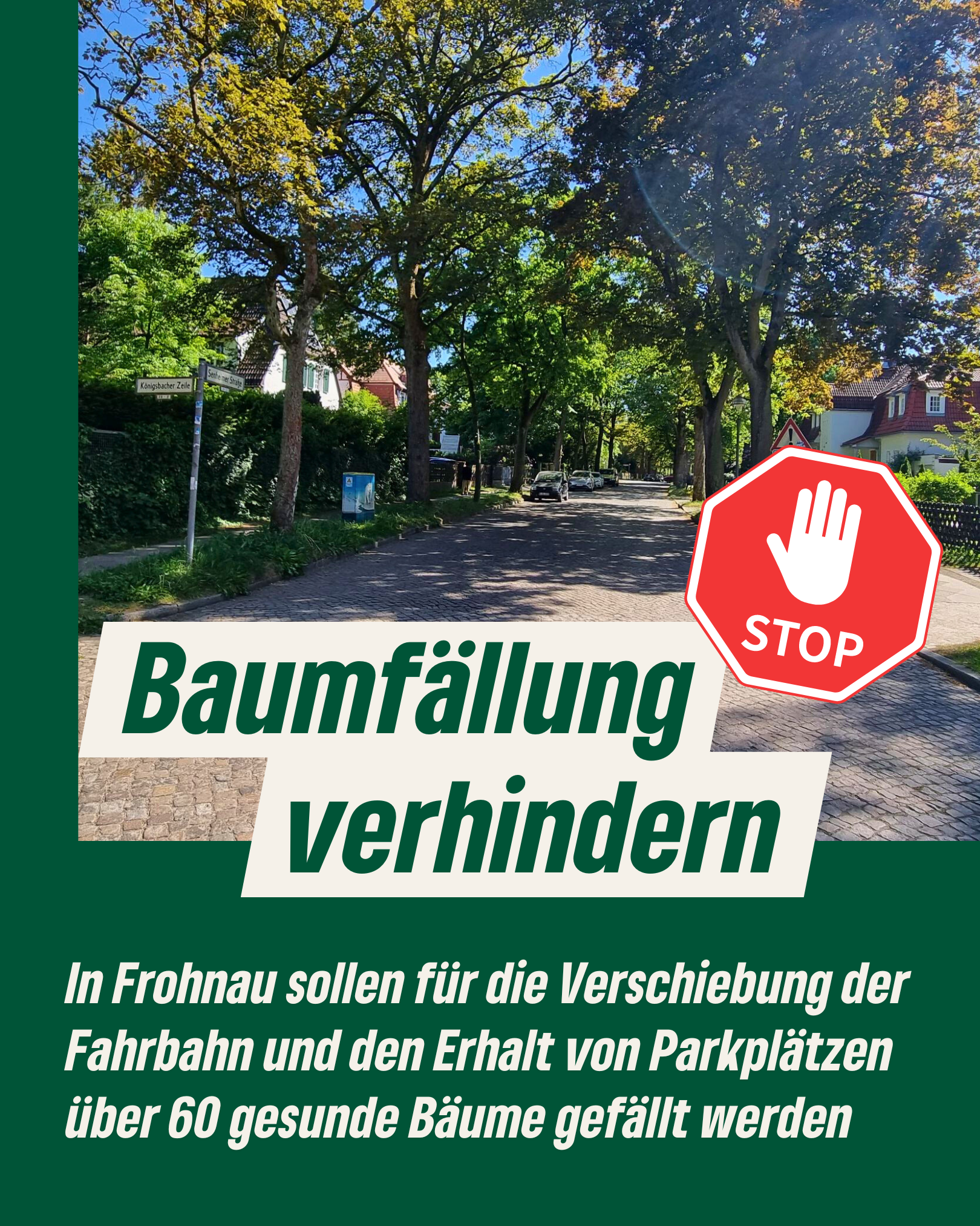 Bild der Senheimer Straße in Frohnau. Allee mit alten Bäumen. Davor ein Stopschild und die Überschrift: Baumfällung verhindern.