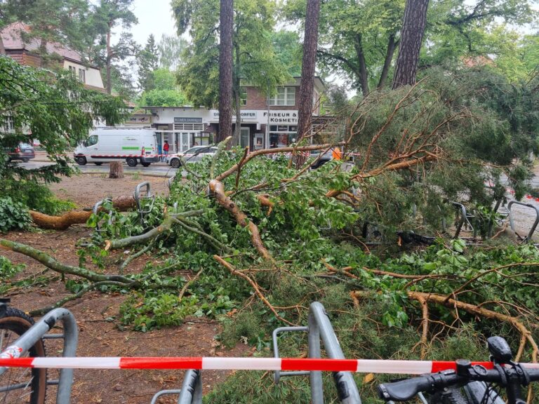 Grüner Kreisverband Reinickendorf zum Unwetter vom 26. Juni 2025 „Zwischen Sturm und Hitze: Reinickendorf braucht mehr als Reaktion – es braucht Vision“