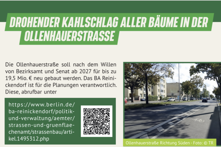 Geplante Baumfällungen in der Ollenhauerstraße