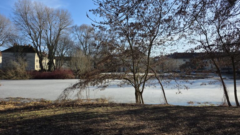 Jetzt Projektmittel aus dem Programm Freiwilliges Engagement in Nachbarschaften (FEIN) beantragen