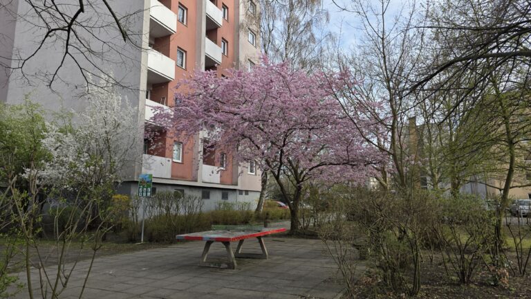 Milieuschutzteilgebiete in Reinickendorf-Ost (Schäfersee, Teichstraße, Breitkopfbecken, Hausotterplatz und Letteplatz)