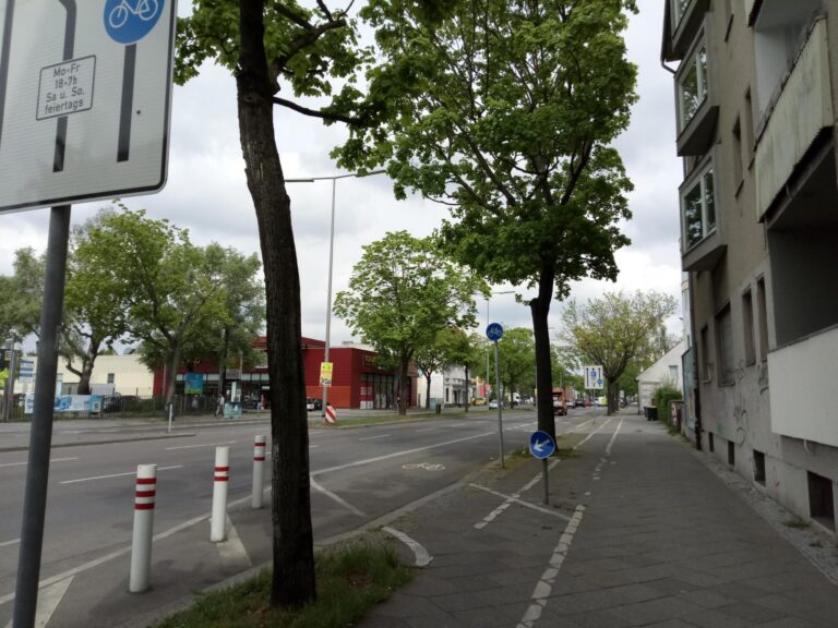 Hitze-Alarm in Berlin: Kahlschlag von Straßenbäumen verhindern